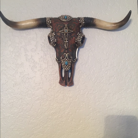 Bull horns - Picture 1 of 1